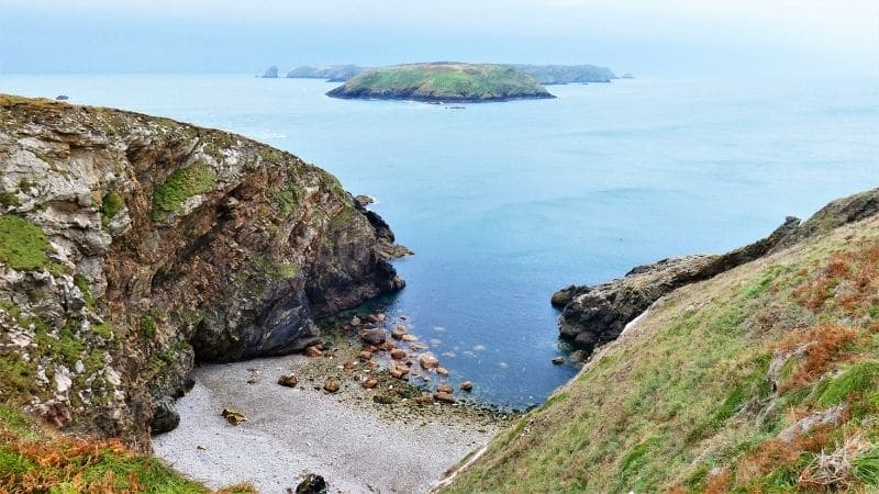 Foki w Pembrokeshire oraz najlepsze miejsca do obserwacji w UK!