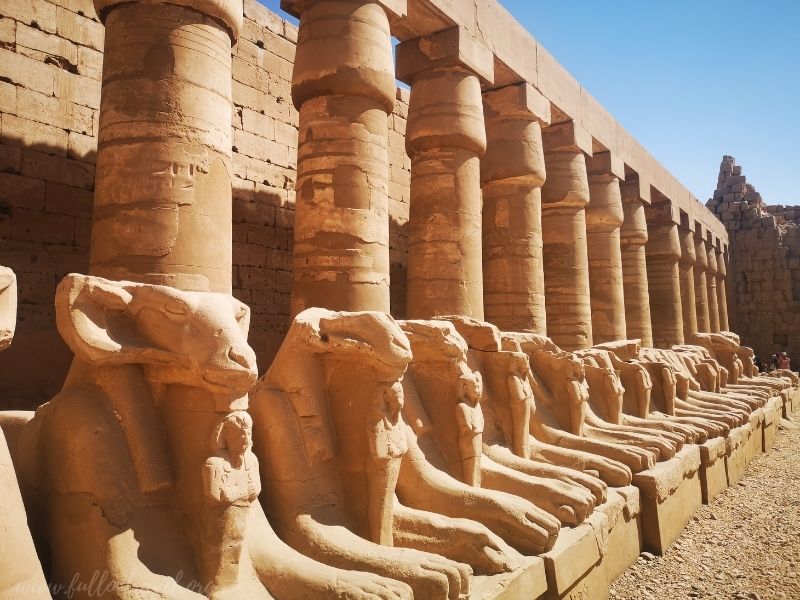 Aleja Sfinksów z głowami baranów, Świątynia Karnak, Luksor